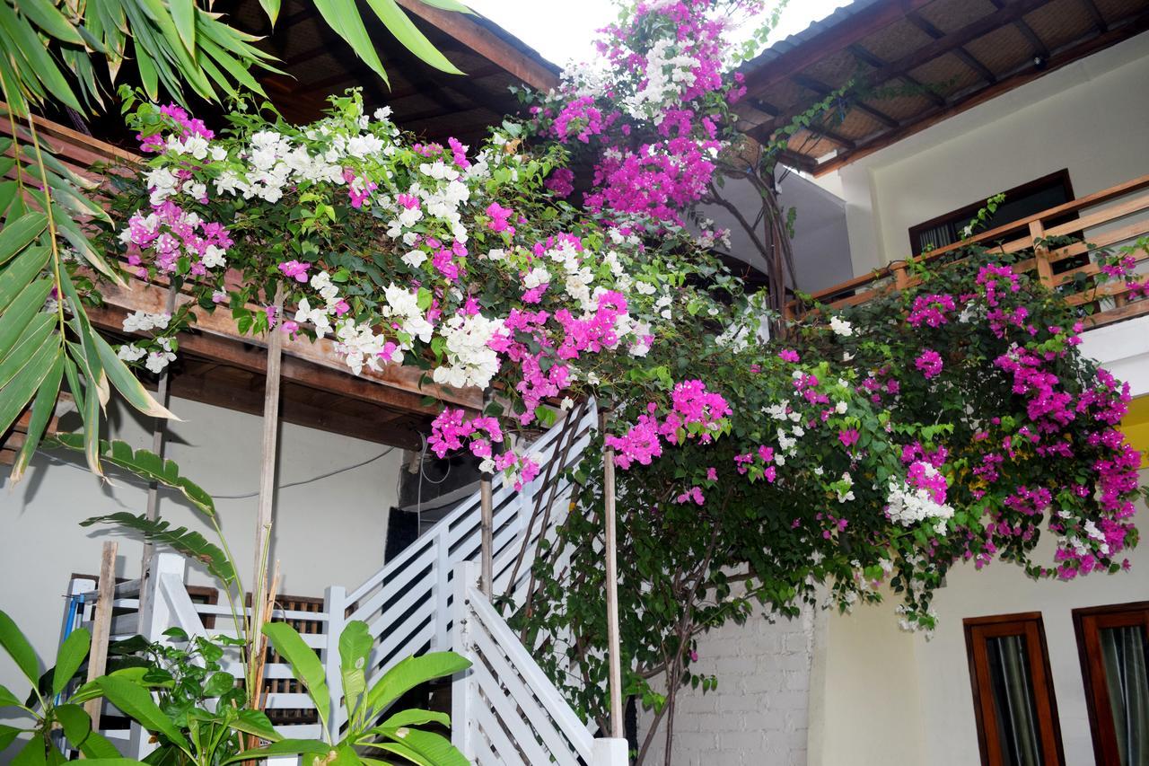 Panda Cottage Gili Trawangan Exteriér fotografie